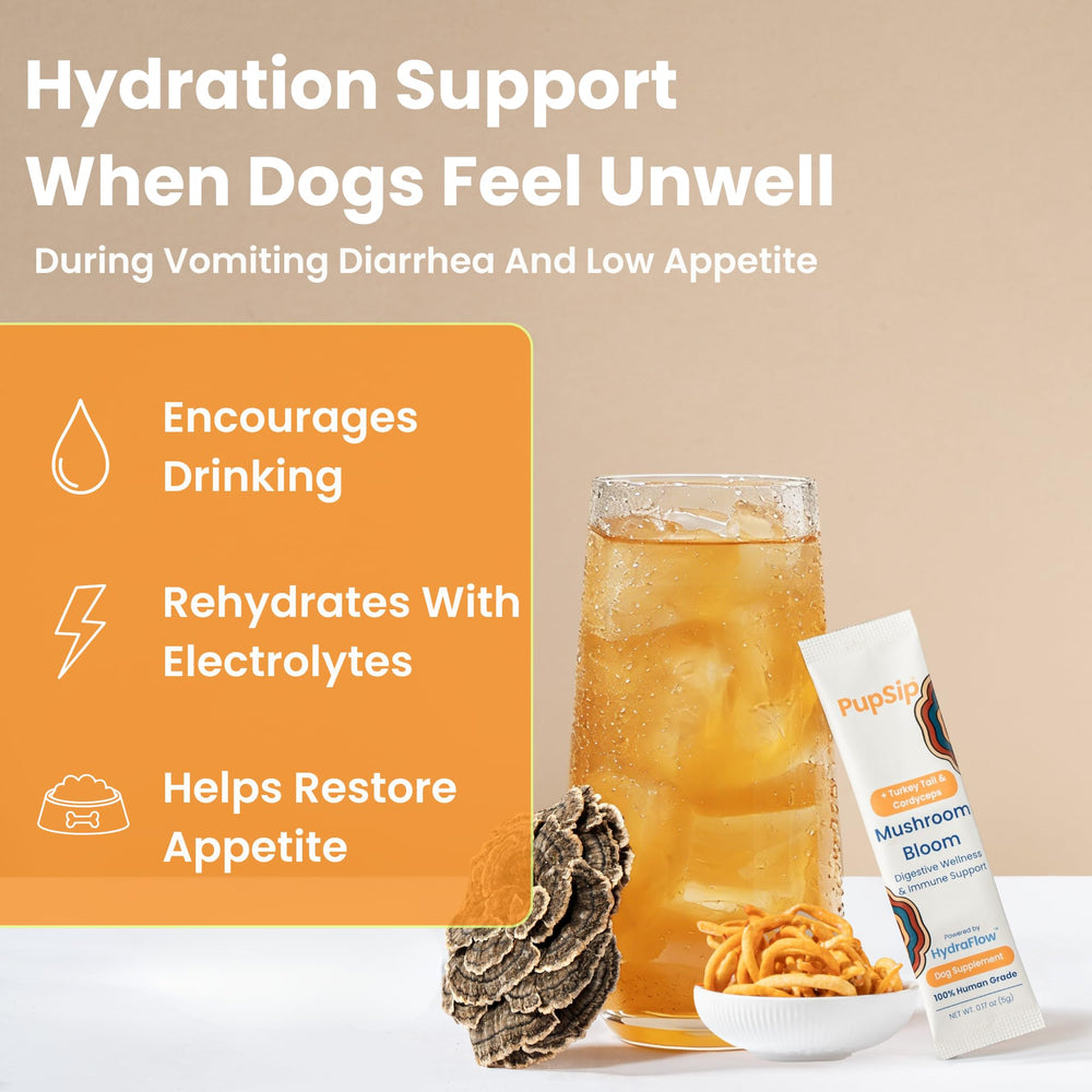PupSip stick unique ouvert prêt à verser pour un dosage hygiénique et sans gâchis