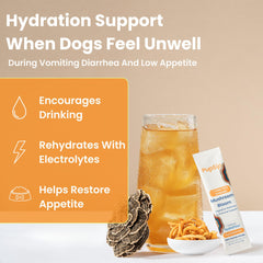 PupSip stick unique ouvert prêt à verser pour un dosage hygiénique et sans gâchis