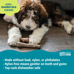 Chien tenant Pupstages Dogwood pour mastication apaisante