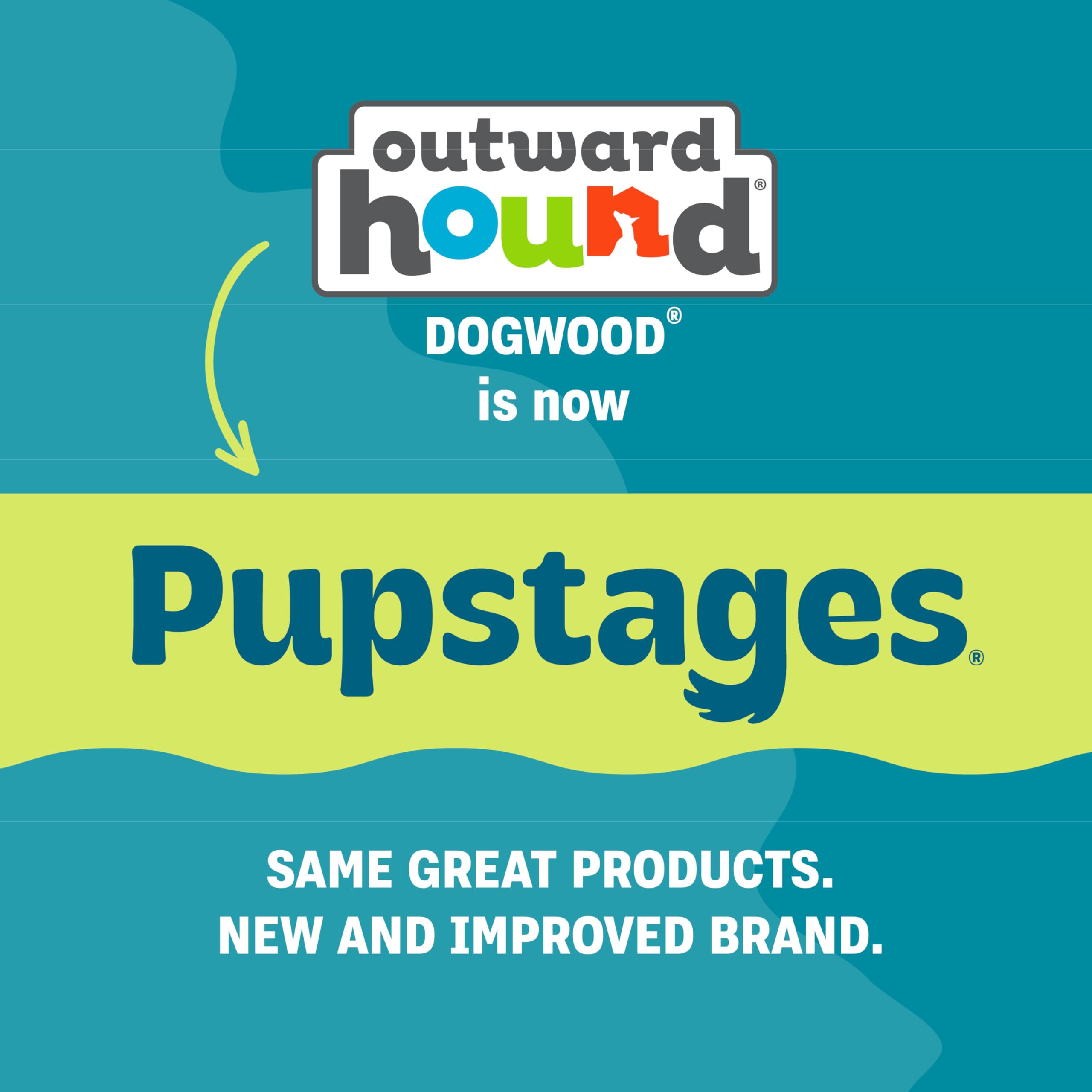 Pupstages jouet dans un salon illustrant usage quotidien et sécurité domestique