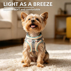 PUPTECK boucle à clip rapide sûre pour mise en place rapide