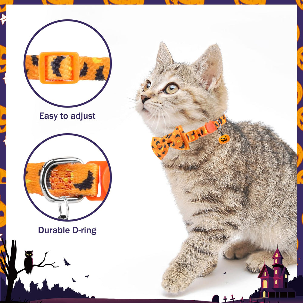 PUPTECK collier porté par un chaton, montre adaptation et légèreté