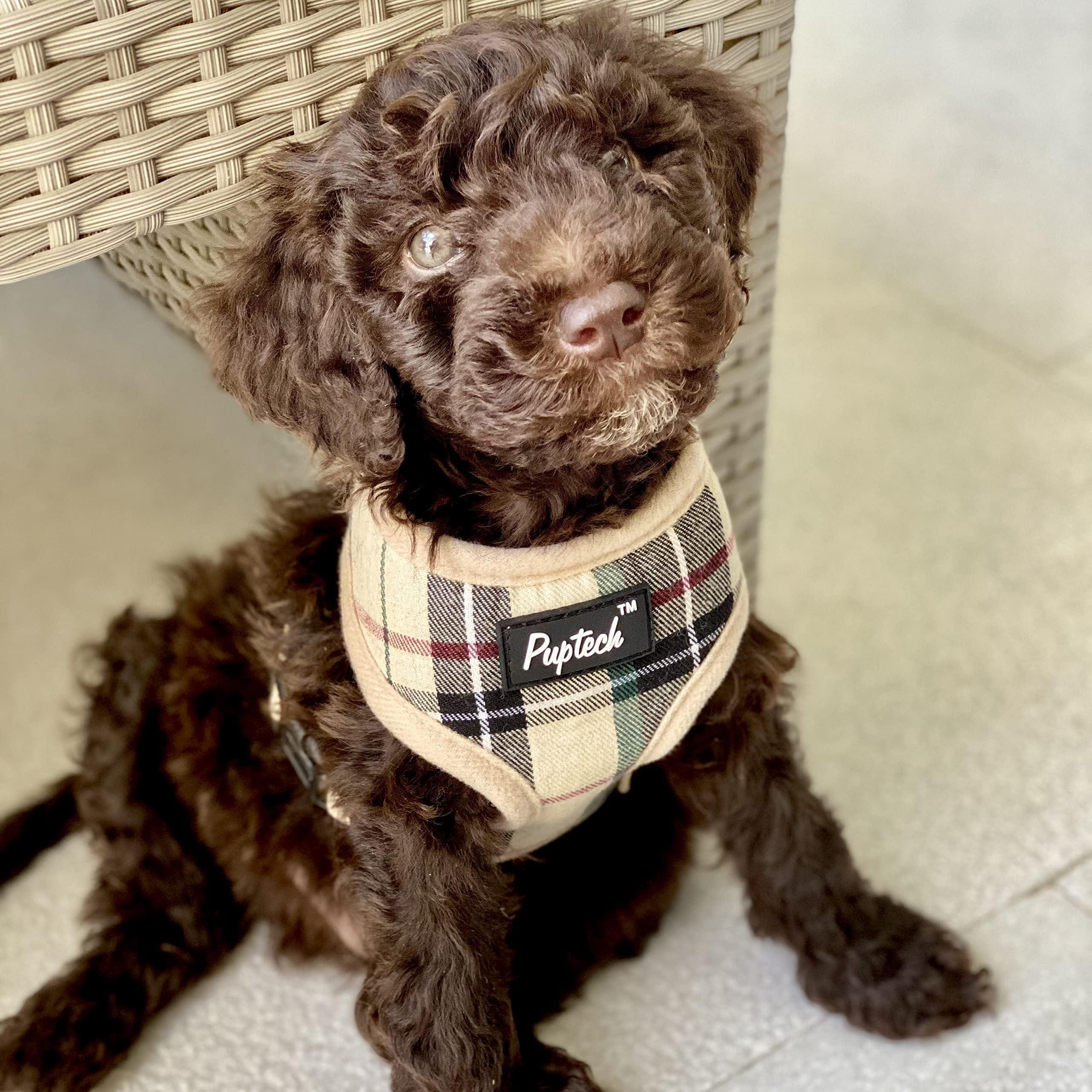 PUPTECK comparaison taille chiot pour vérifier ajustement