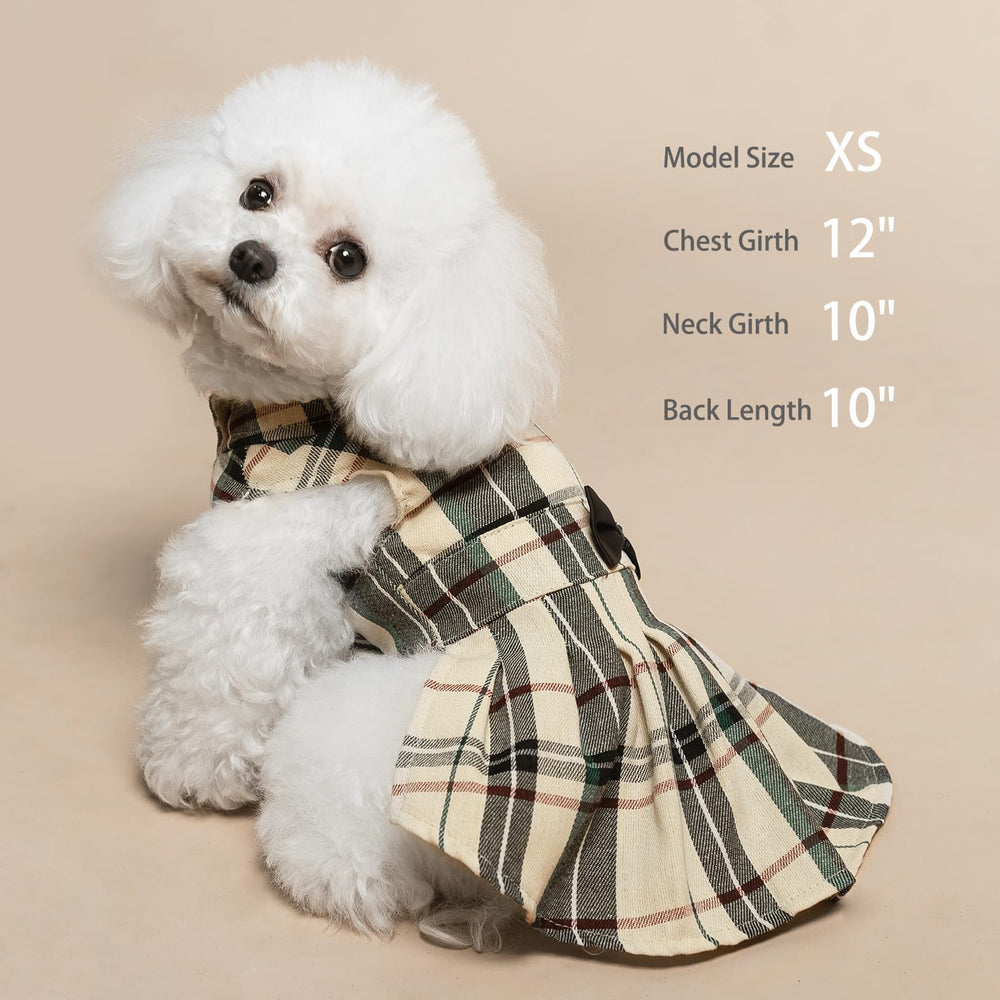 PUPTECK tableau des mesures près d’un chien pour choisir la bonne taille