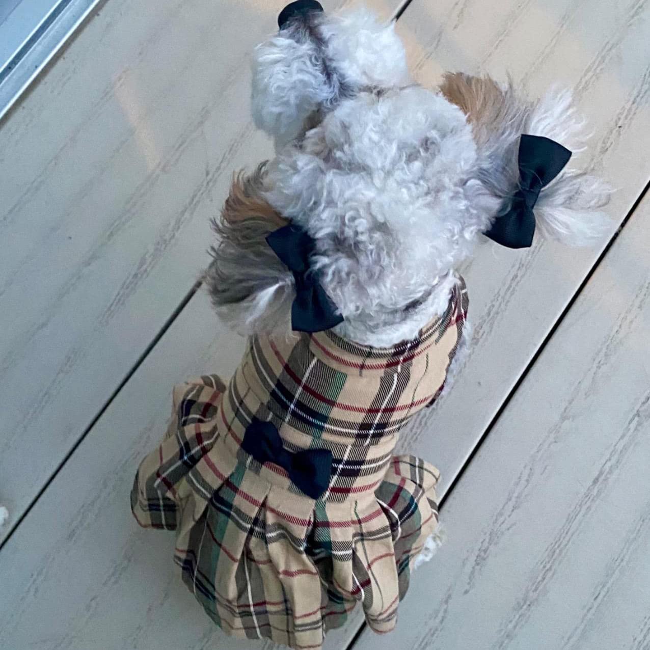 PUPTECK couture et finition renforcées garantissant durabilité
