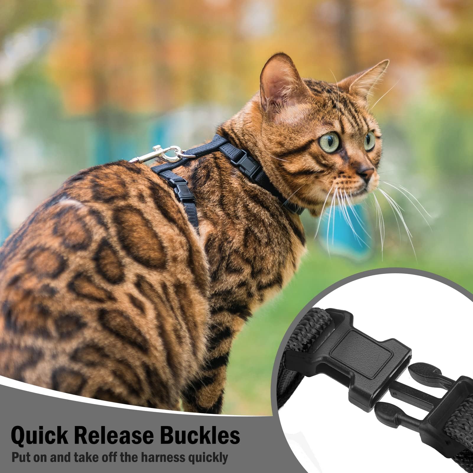 PUPTECK détail des boucles facilitant mise en place rapide et sécurité