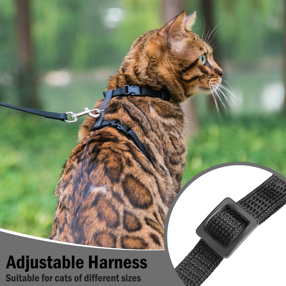 PUPTECK laisse 120 cm tenue en main montrant gestion confortable de la distance