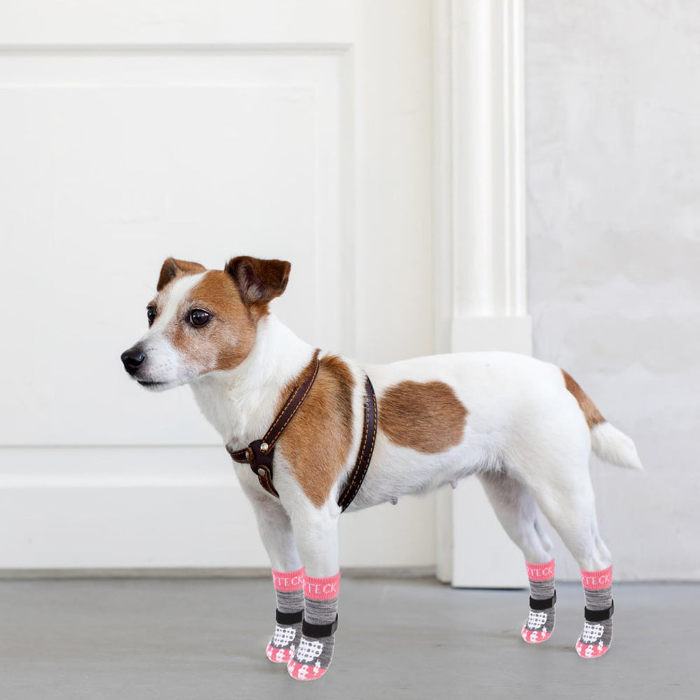 PUPTECK chien senior portant chaussettes, plus d'équilibre et confiance