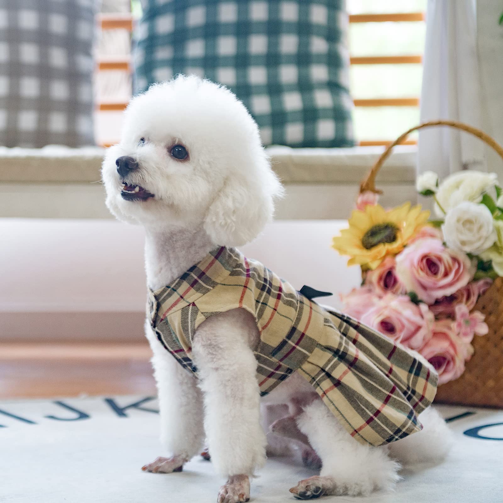 PUPTECK robe en contexte lifestyle idéale pour fêtes et photos
