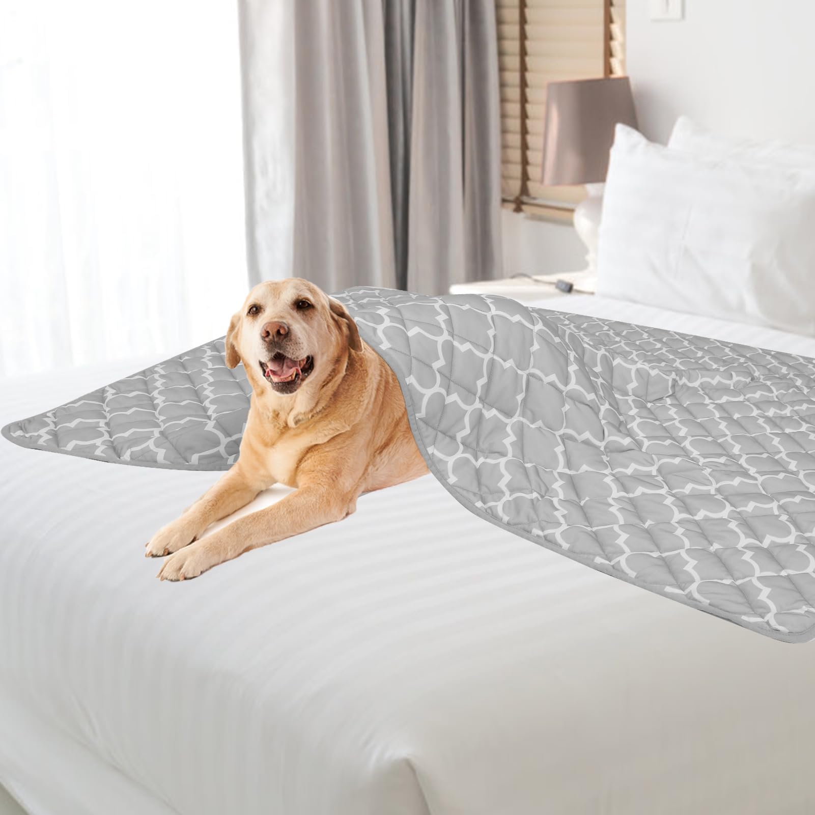 PUPTECK tapis installé au jardin pour pique-nique et confort animal