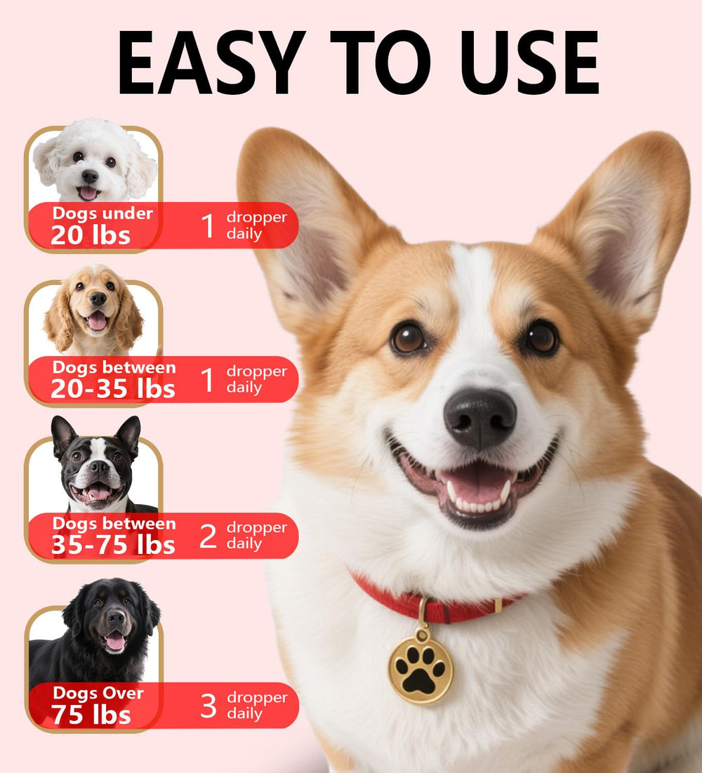 PuPulse mélange dans la nourriture facilitant acceptation par chien