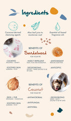 Pure + Good comparaison taille avec main montrant format 473 ml pratique