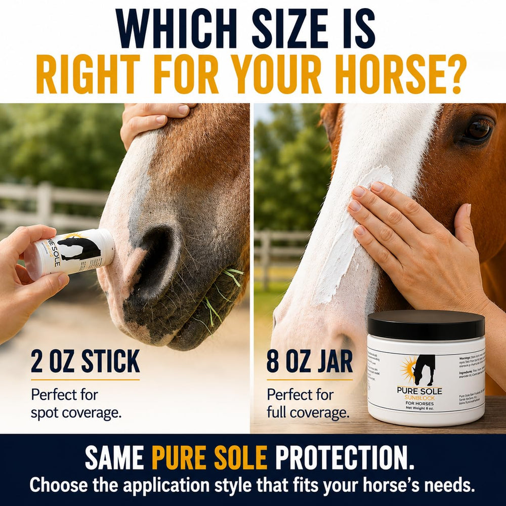 Pure Sole cheval au pâturage démontrant protection durable