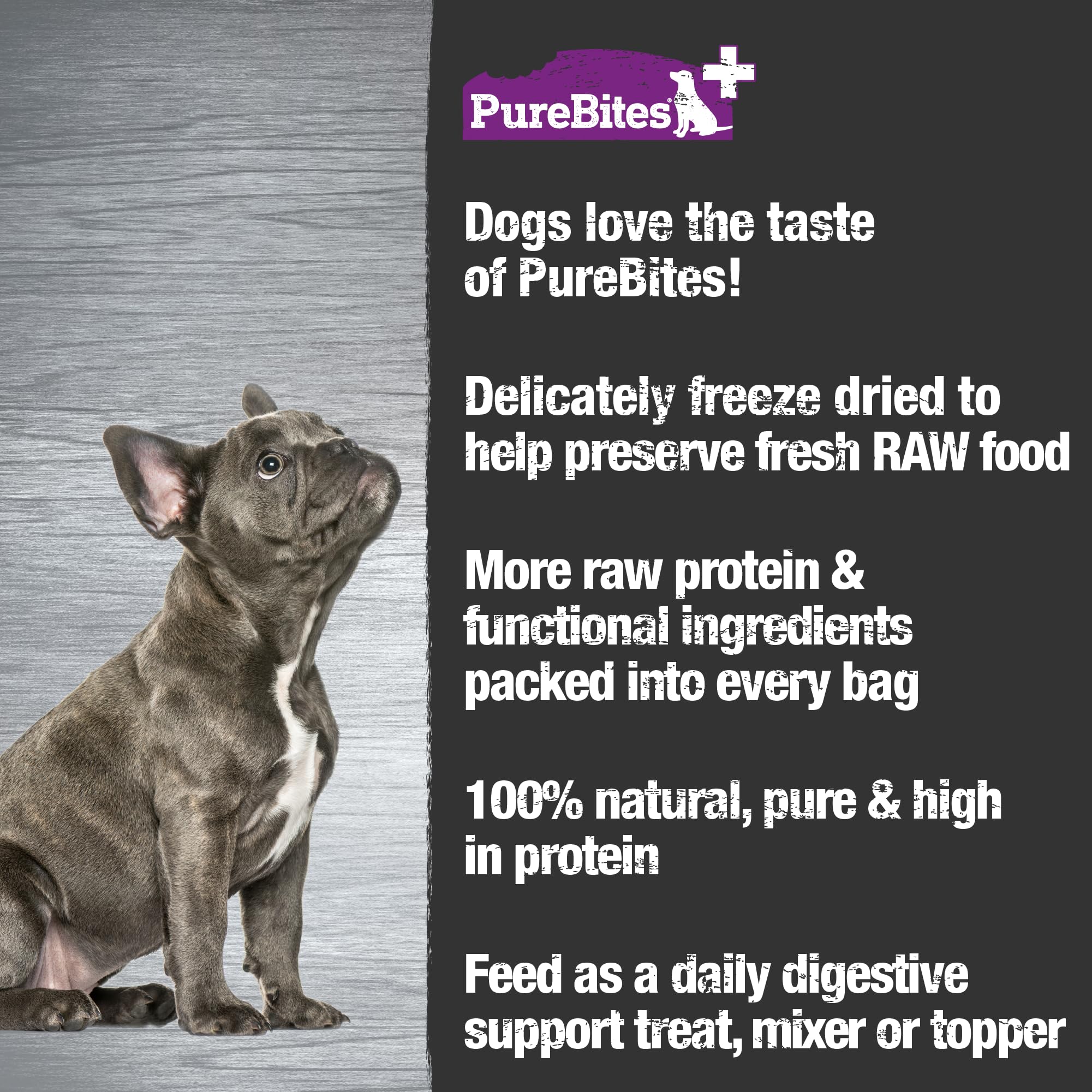 Comparaison taille PureBites à côté d’une patte de chien aide le dosage
