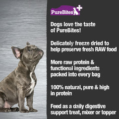 Comparaison taille PureBites à côté d’une patte de chien aide le dosage