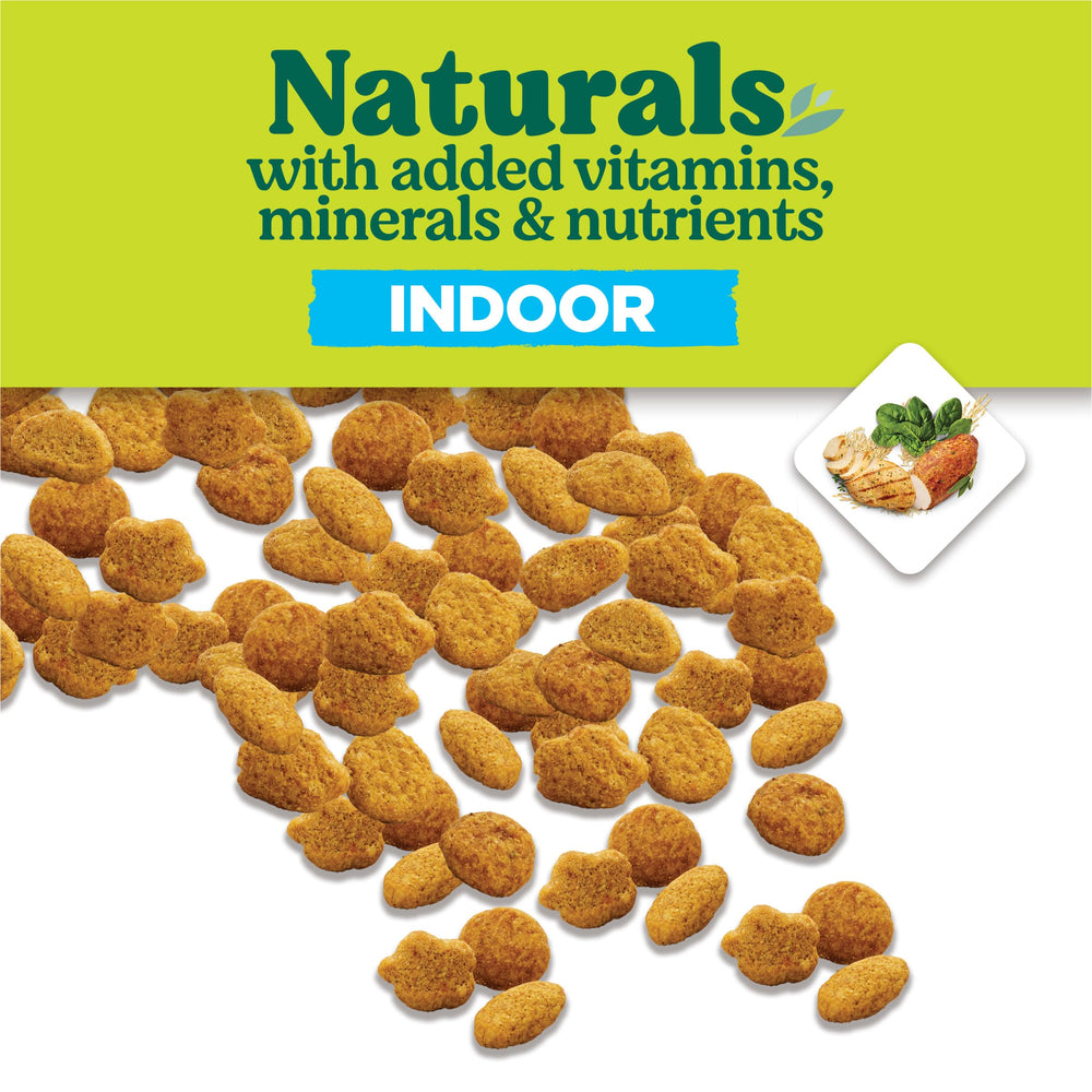 Purina Cat Chow chat mange dans le salon illustrant acceptation