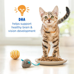 Purina Cat Chow sachet ouvert prêt à servir pour une conservation facile