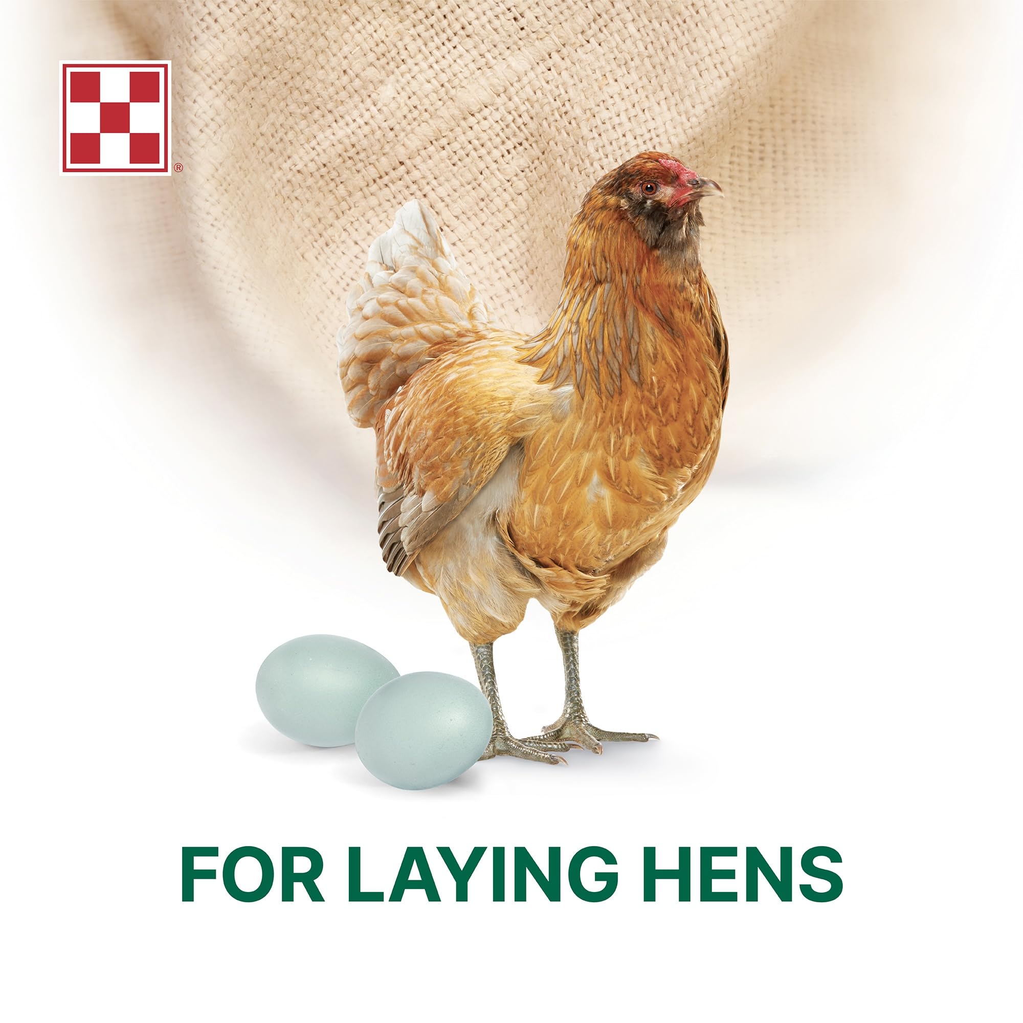 Sachet Purina Layena 10 lb posé à côté d'un mètre pour échelle visuelle
