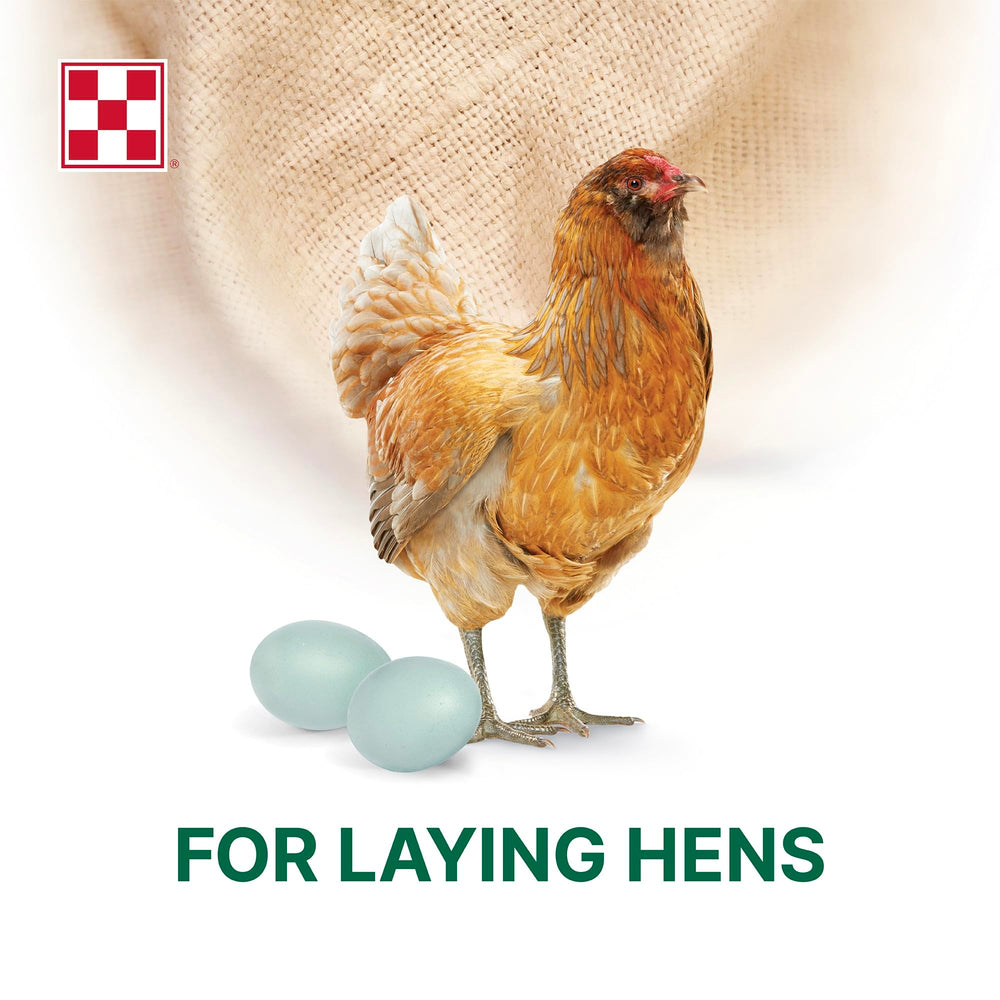 Sachet Purina Layena 10 lb posé à côté d'un mètre pour échelle visuelle
