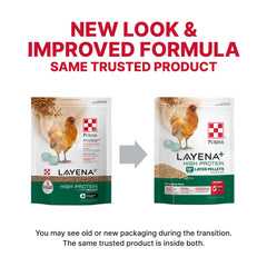 Gros plan sur granulés Purina Layena montrant texture homogène et appétence