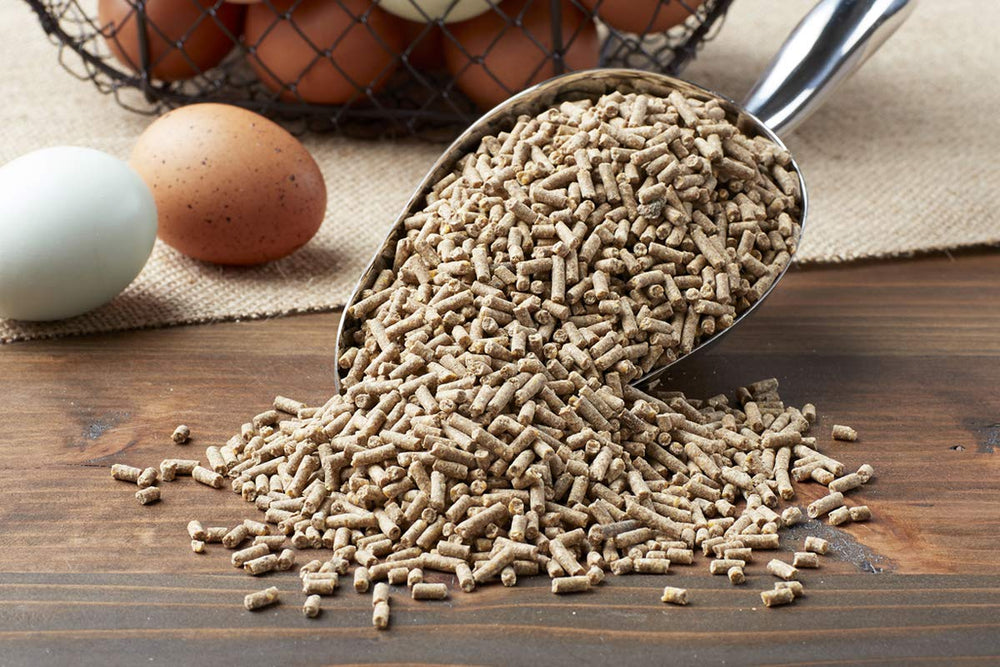 Purina Layena+ étiquette produit montrant informations nutritionnelles claires