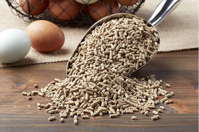 Purina Layena+ gros plan sur granulés illustrant texture nutritive