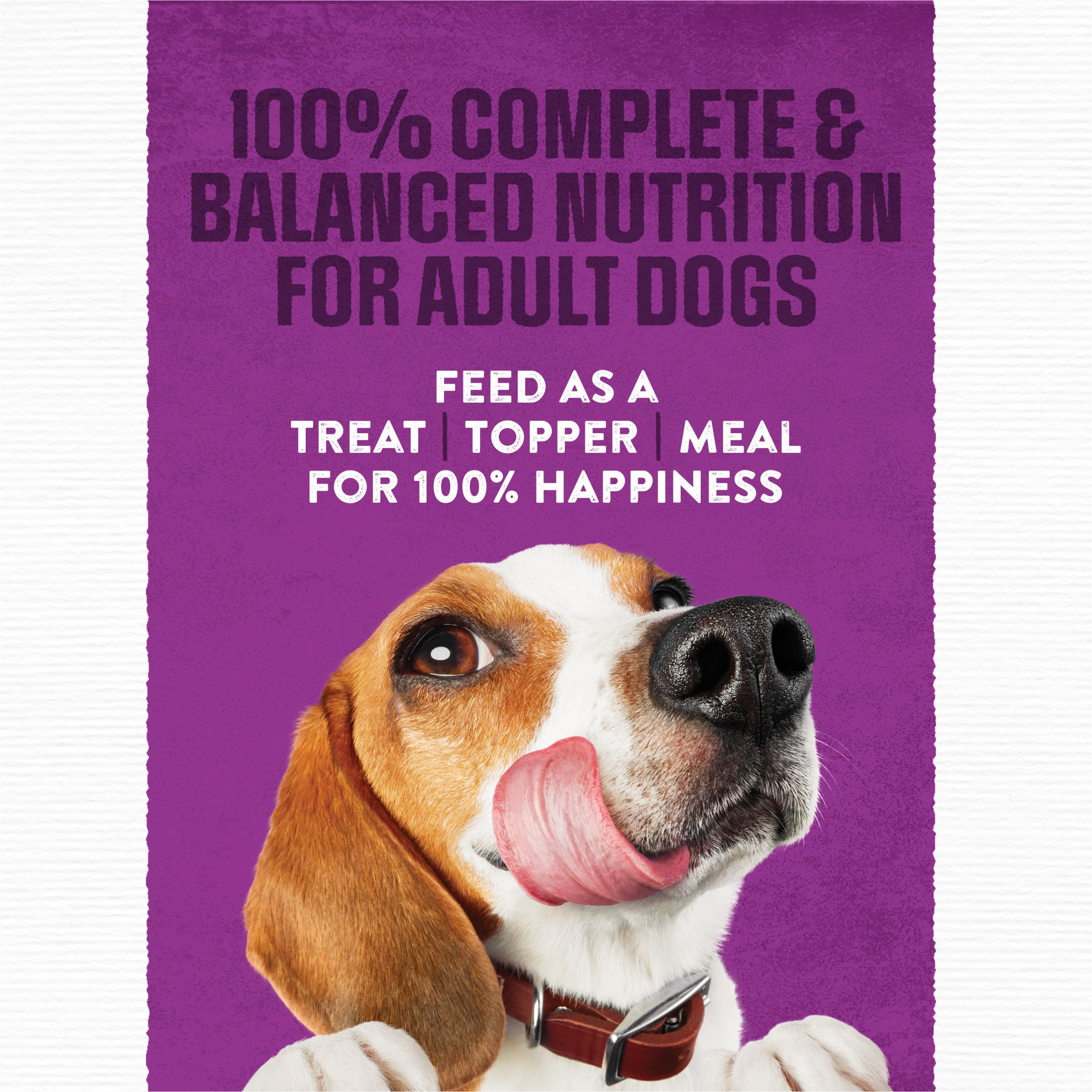 Purina Moist & Meaty gros plan texture, tendreté visible et appétence