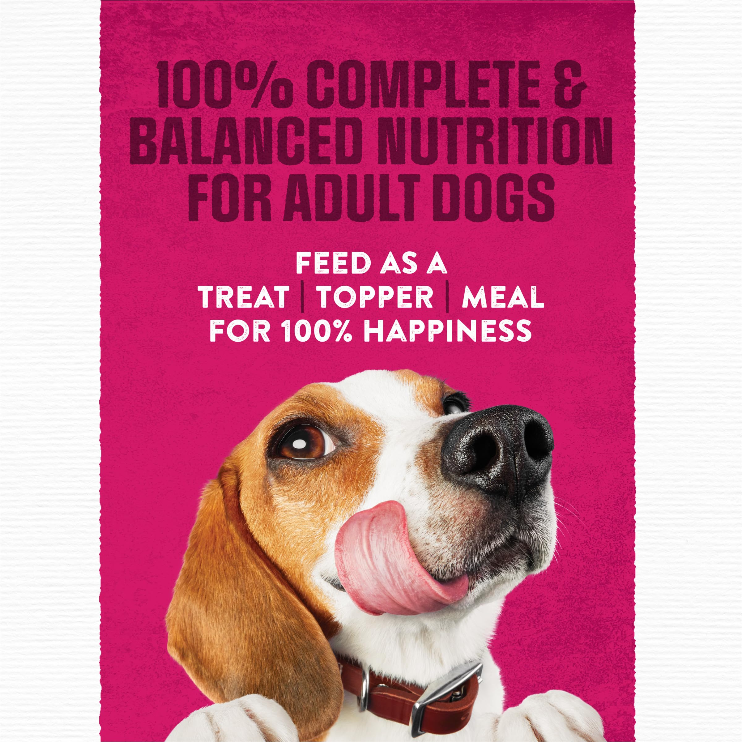 Purina Moist & Meaty sachet tenu à la main pour montrer l’échelle pratique