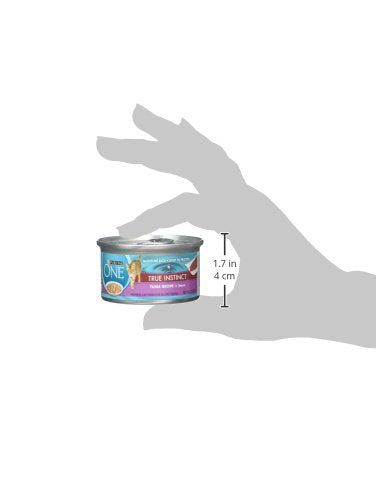 Purina ONE assiette servie pour chat favorise acceptation et hydratation