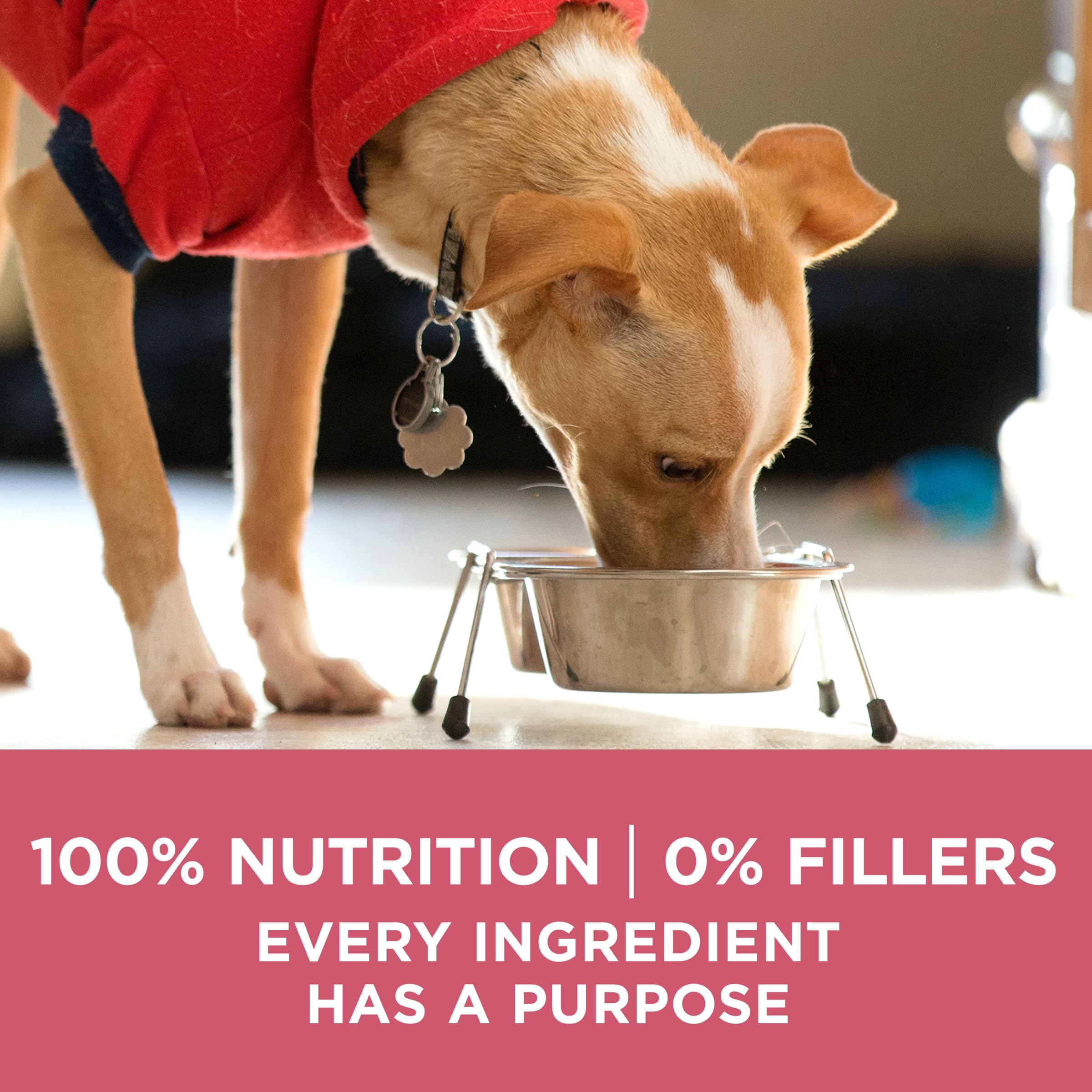 Purina ONE badge vétérinaire montrant recommandation et confiance professionnelle