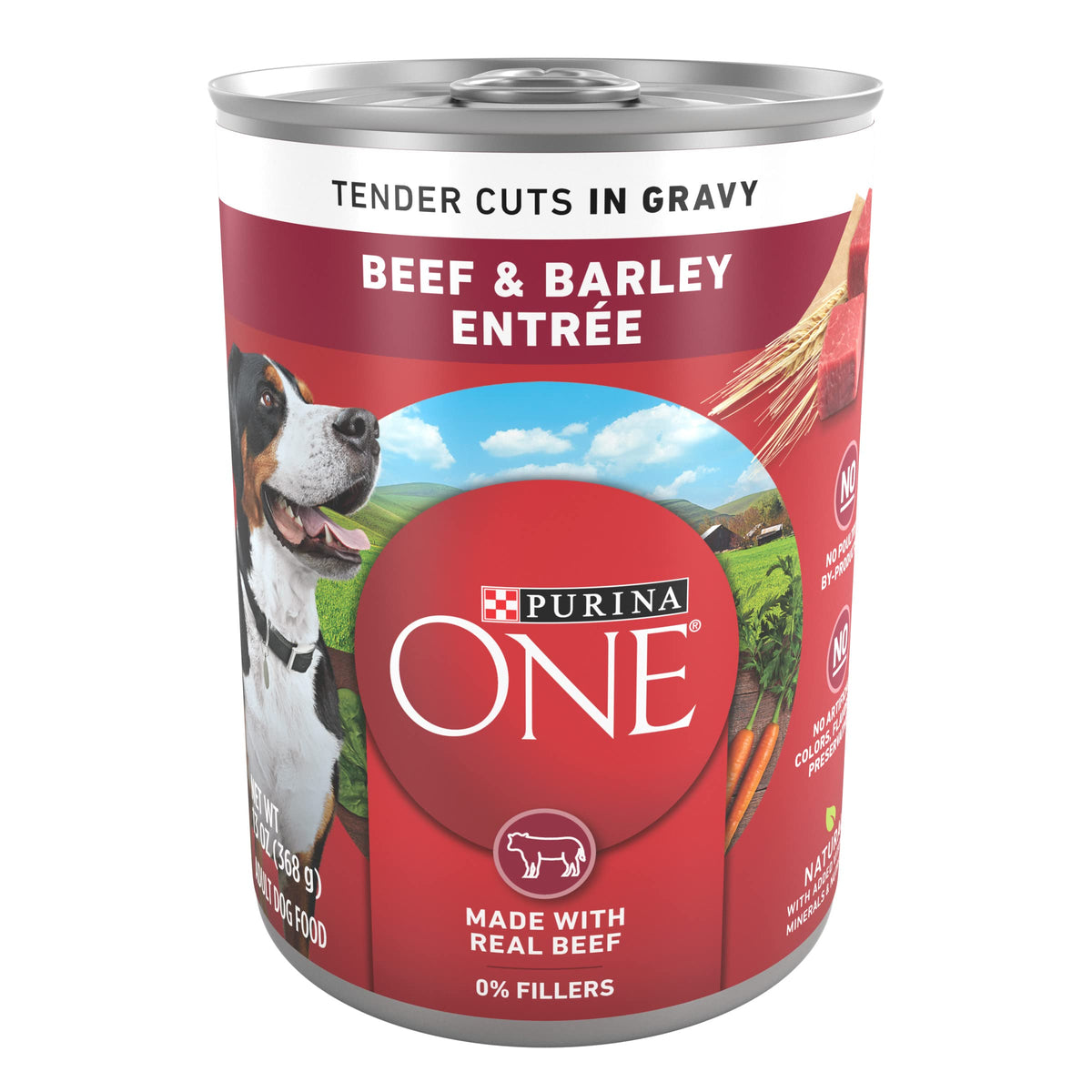 Purina ONE boîte avant montrant l'emballage attractif et informations claires