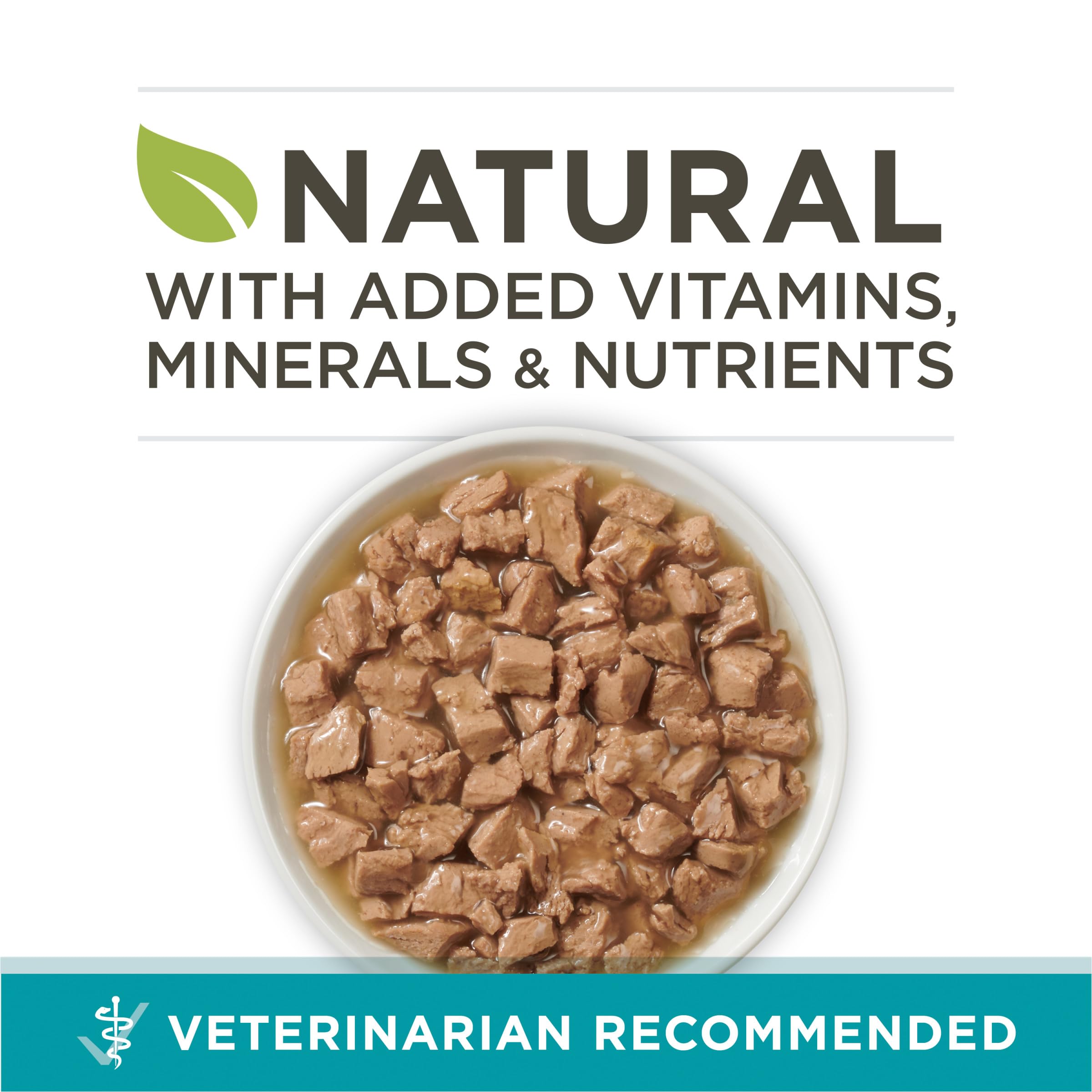 Purina ONE boîte face avec étiquette lisible et ingrédients clés visibles