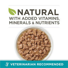 Purina ONE boîte face avec étiquette lisible et ingrédients clés visibles