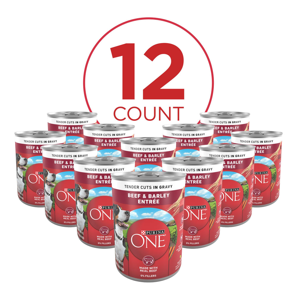 Purina ONE boîte ouverte montrant le contenu prêt à servir et savoureux