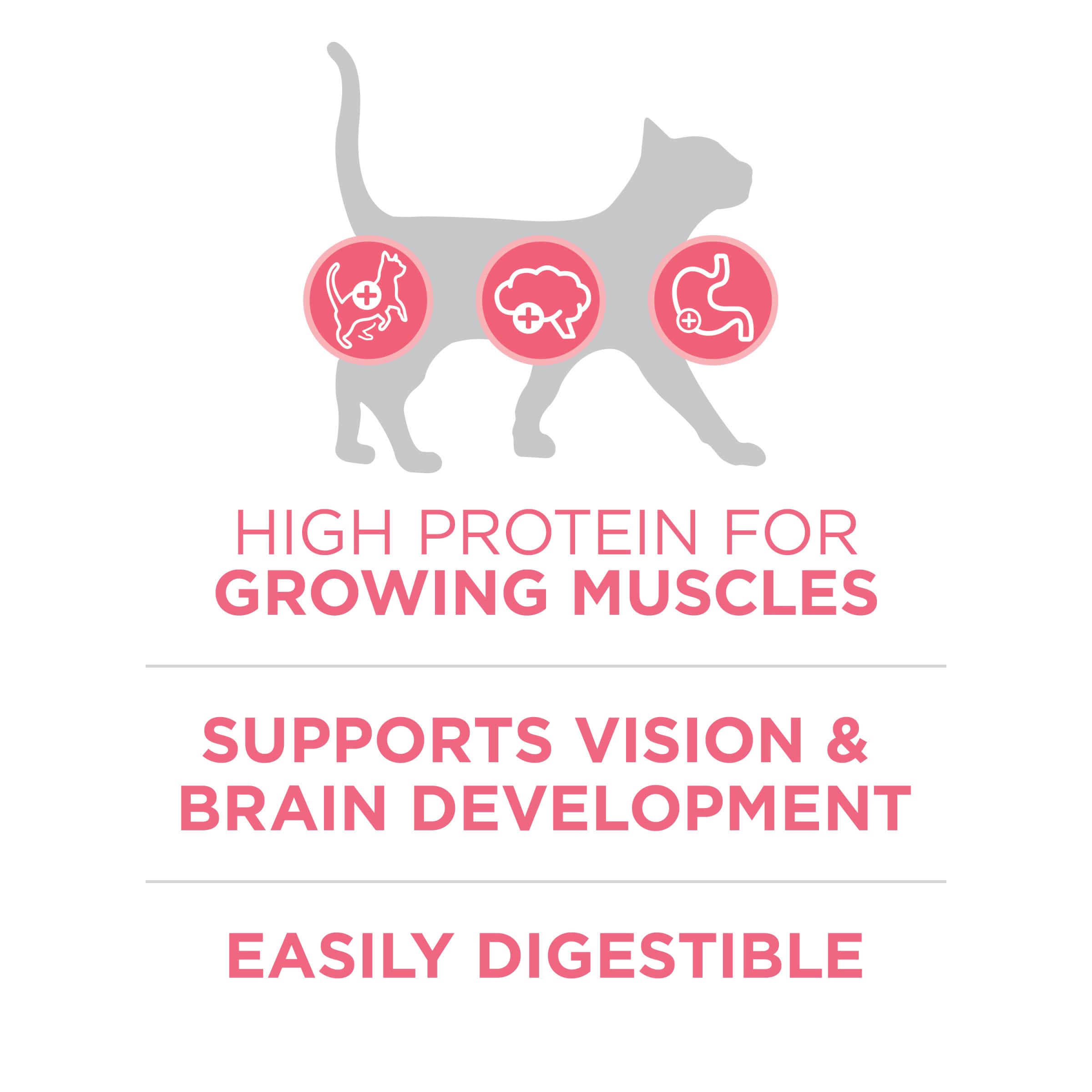 Purina ONE bol rempli de croquettes servies à un chaton, apport complet