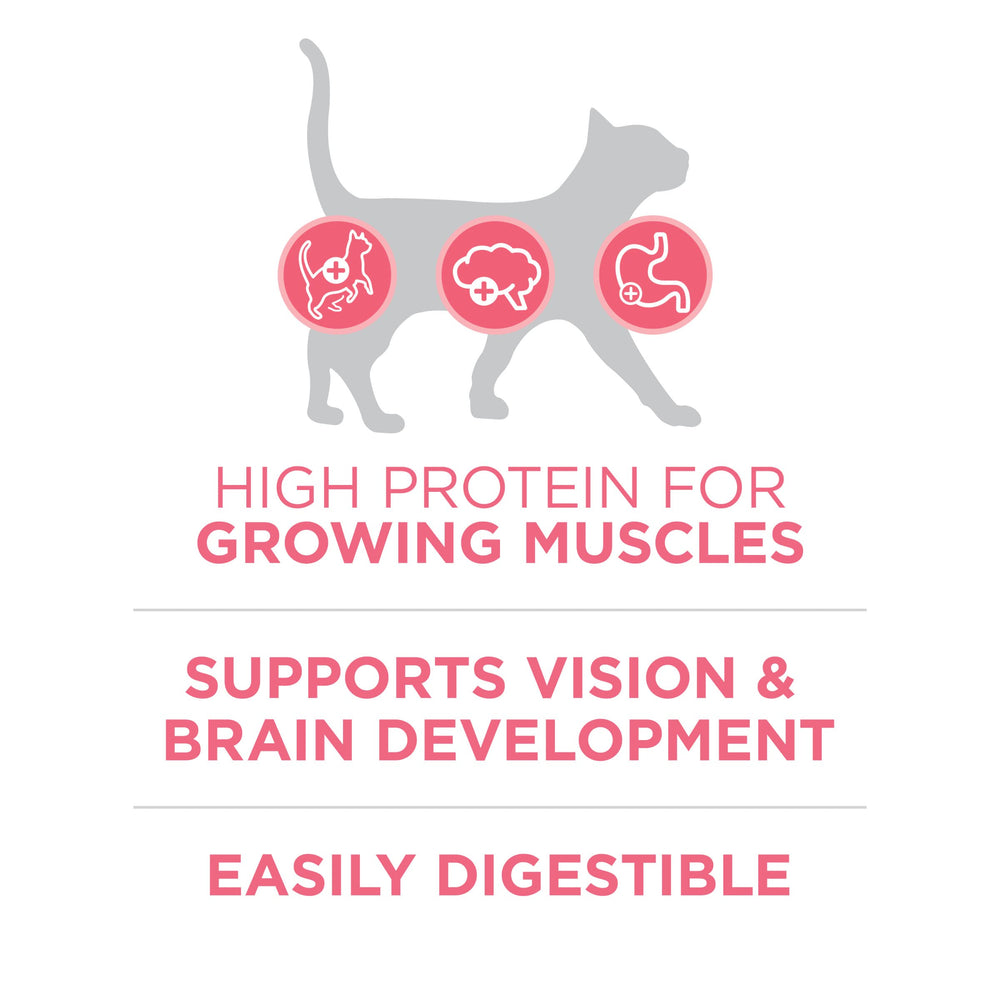Purina ONE bol rempli de croquettes servies à un chaton, apport complet
