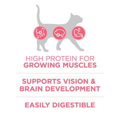 Purina ONE bol rempli de croquettes servies à un chaton, apport complet