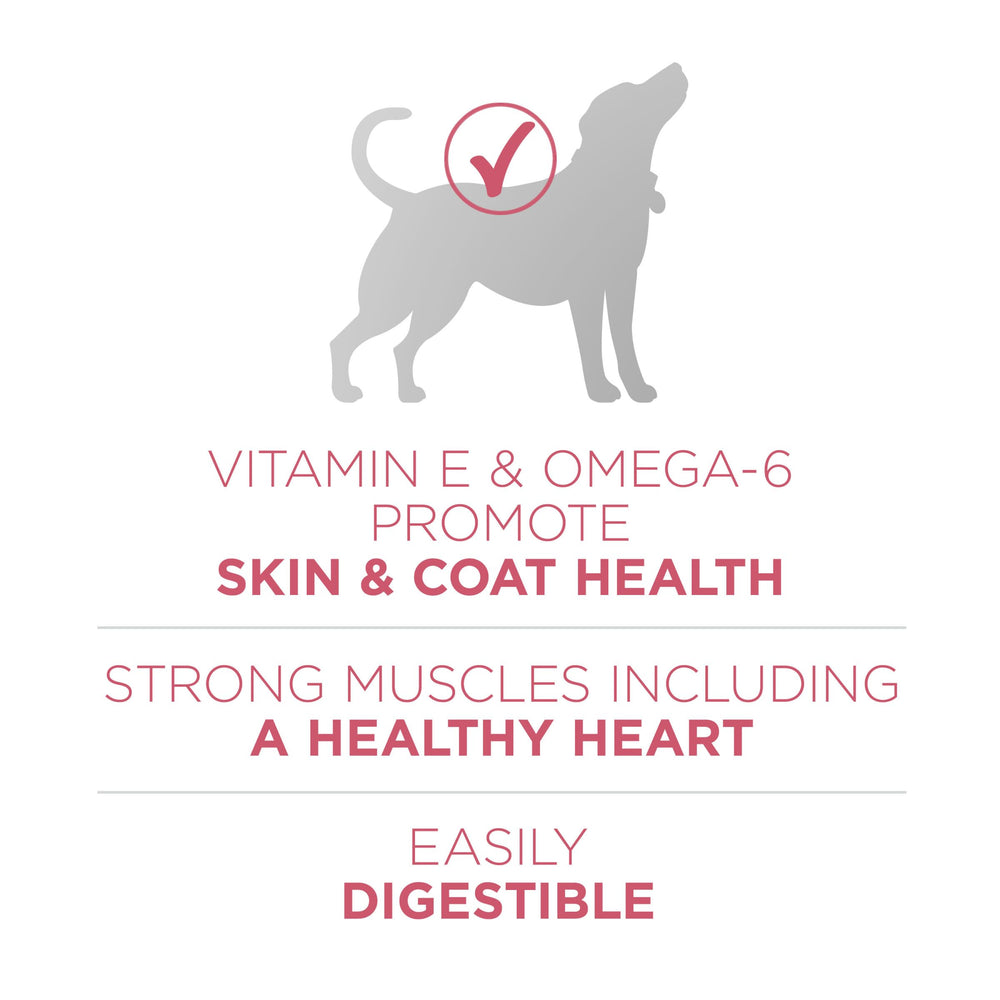 Purina ONE bol rempli illustrant portion équilibrée et appétence pour chien