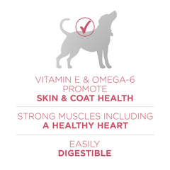 Purina ONE bol rempli illustrant portion équilibrée et appétence pour chien
