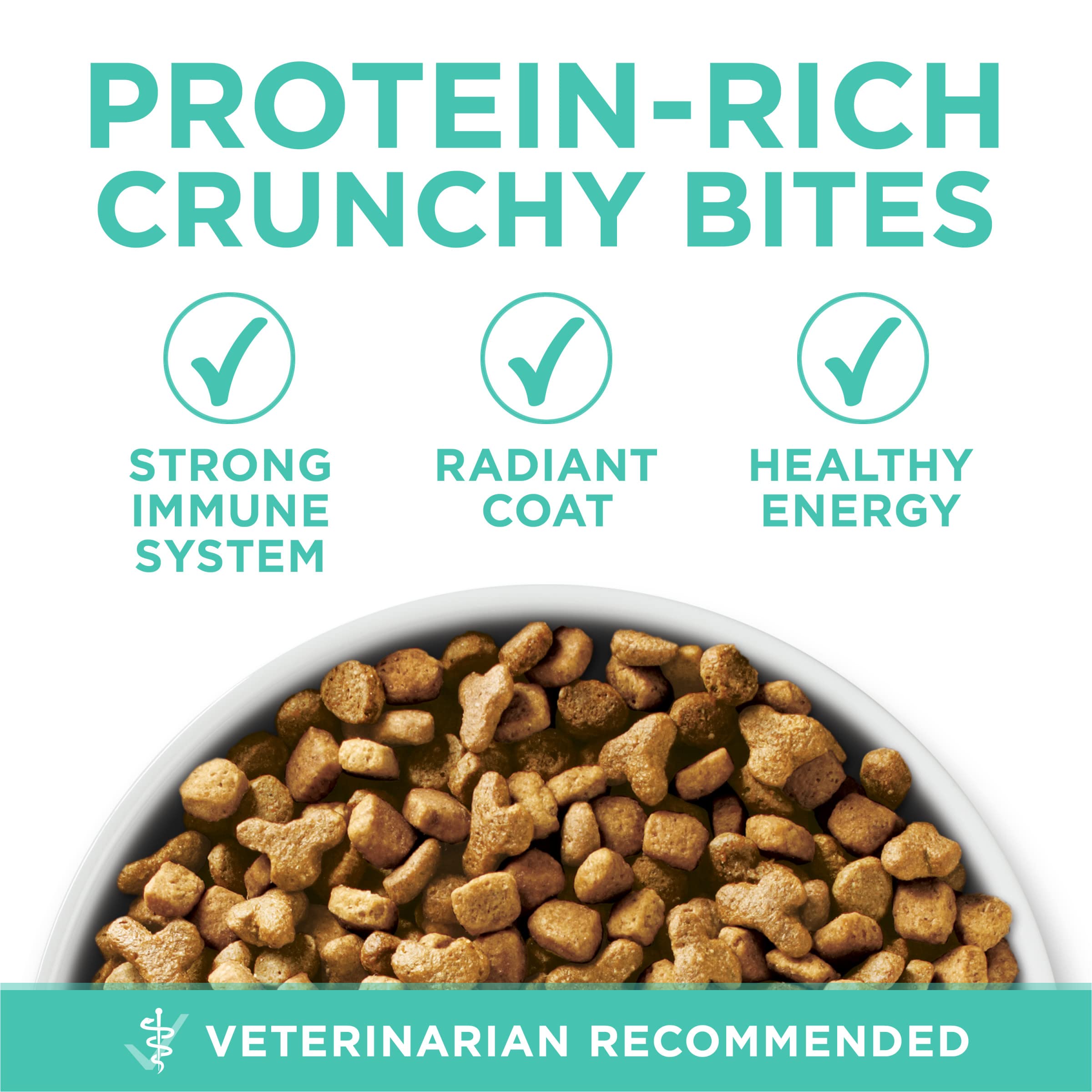 Purina ONE chat adulte mangeant les croquettes, acceptation et plaisir