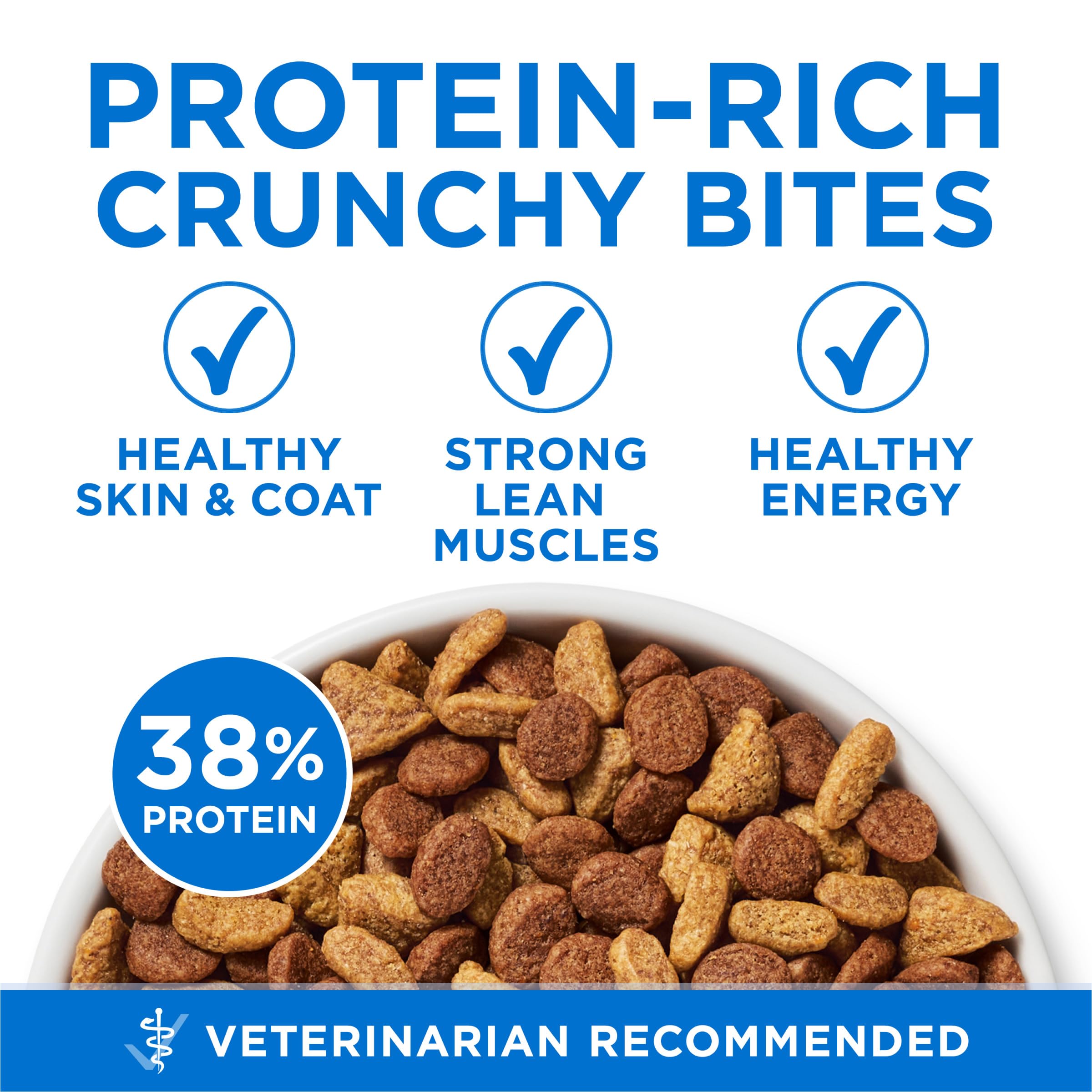Purina ONE chat qui mange dans un intérieur bénéfice acceptabilité quotidienne