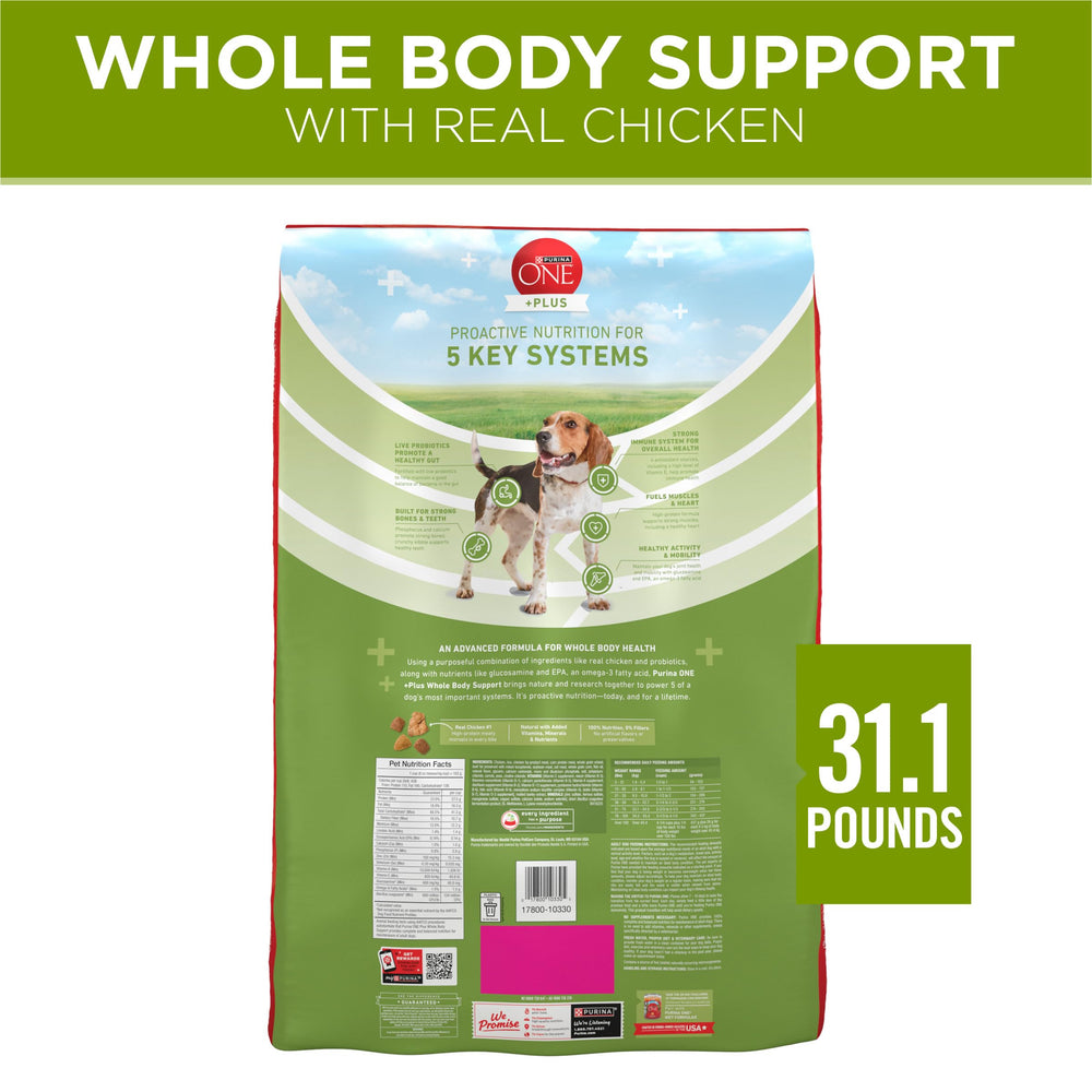 Purina ONE chien mangeant la nourriture montrant acceptation et énergie