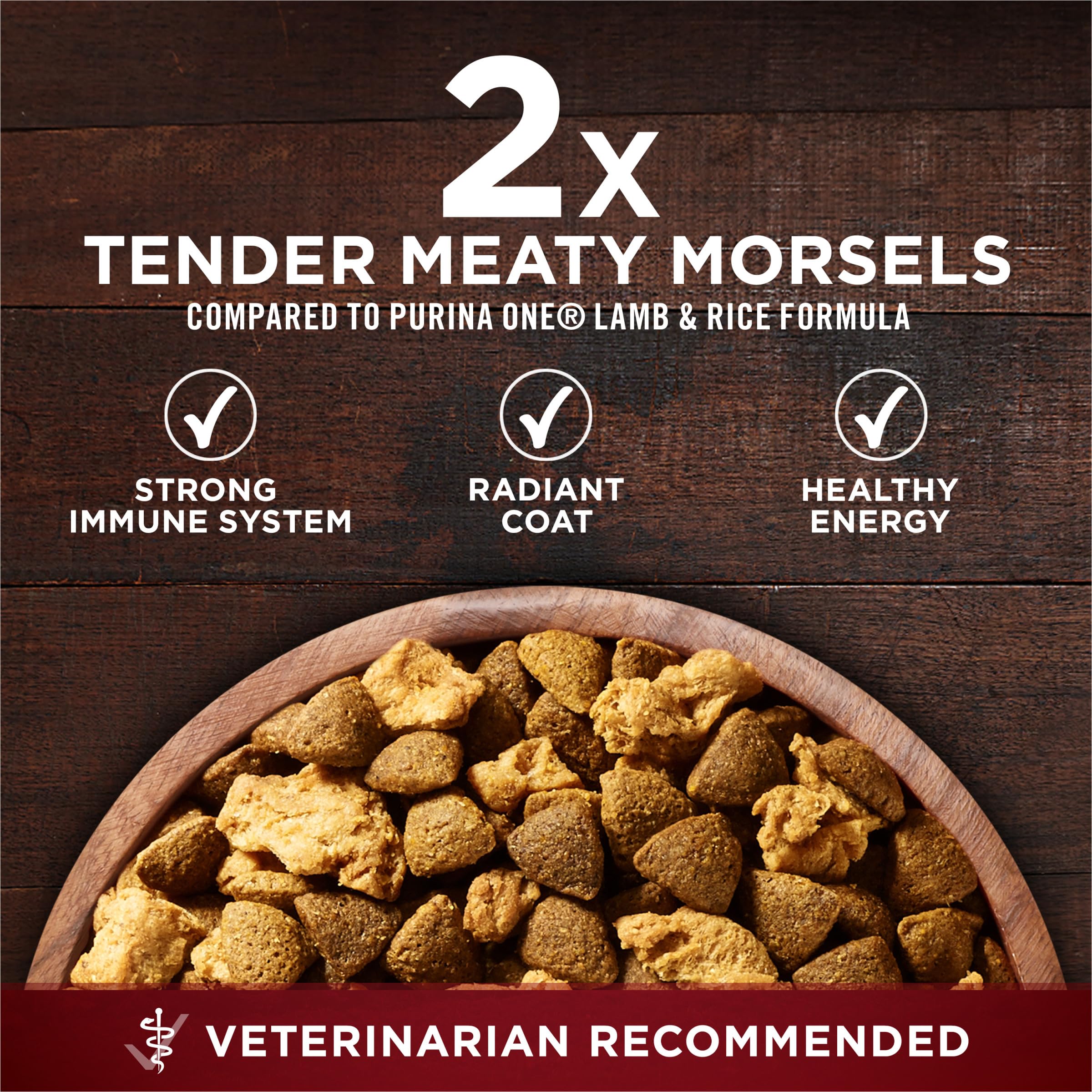 Purina ONE chien mange à l'extérieur, bénéfice appétit soutenu en activité