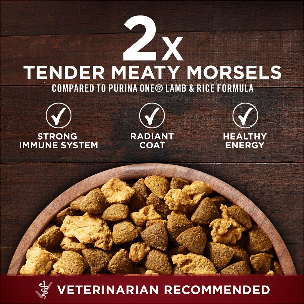 Purina ONE chien mange à l'extérieur, bénéfice appétit soutenu en activité