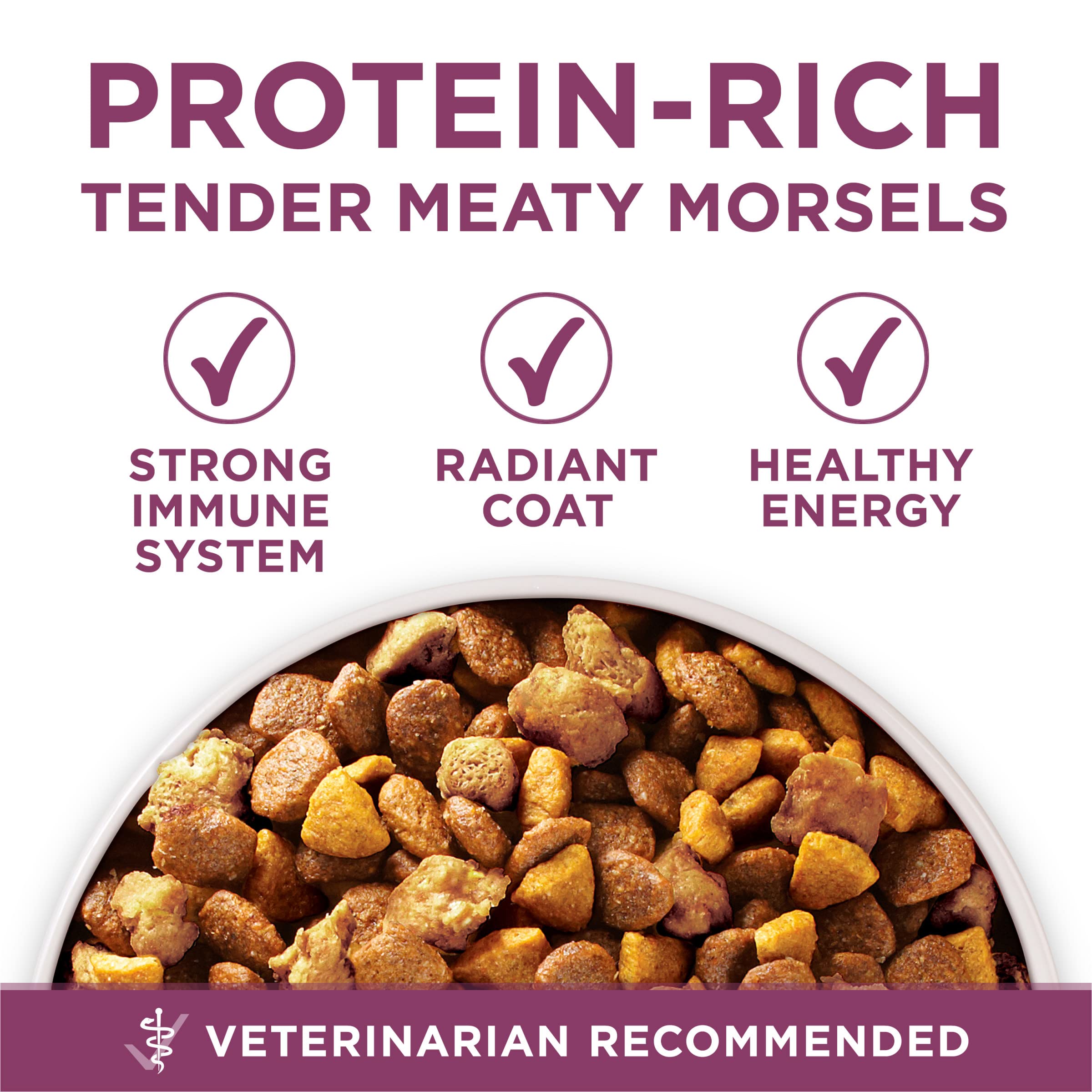 Étiquette Purina ONE détaillée illustrant absence d'arômes artificiels