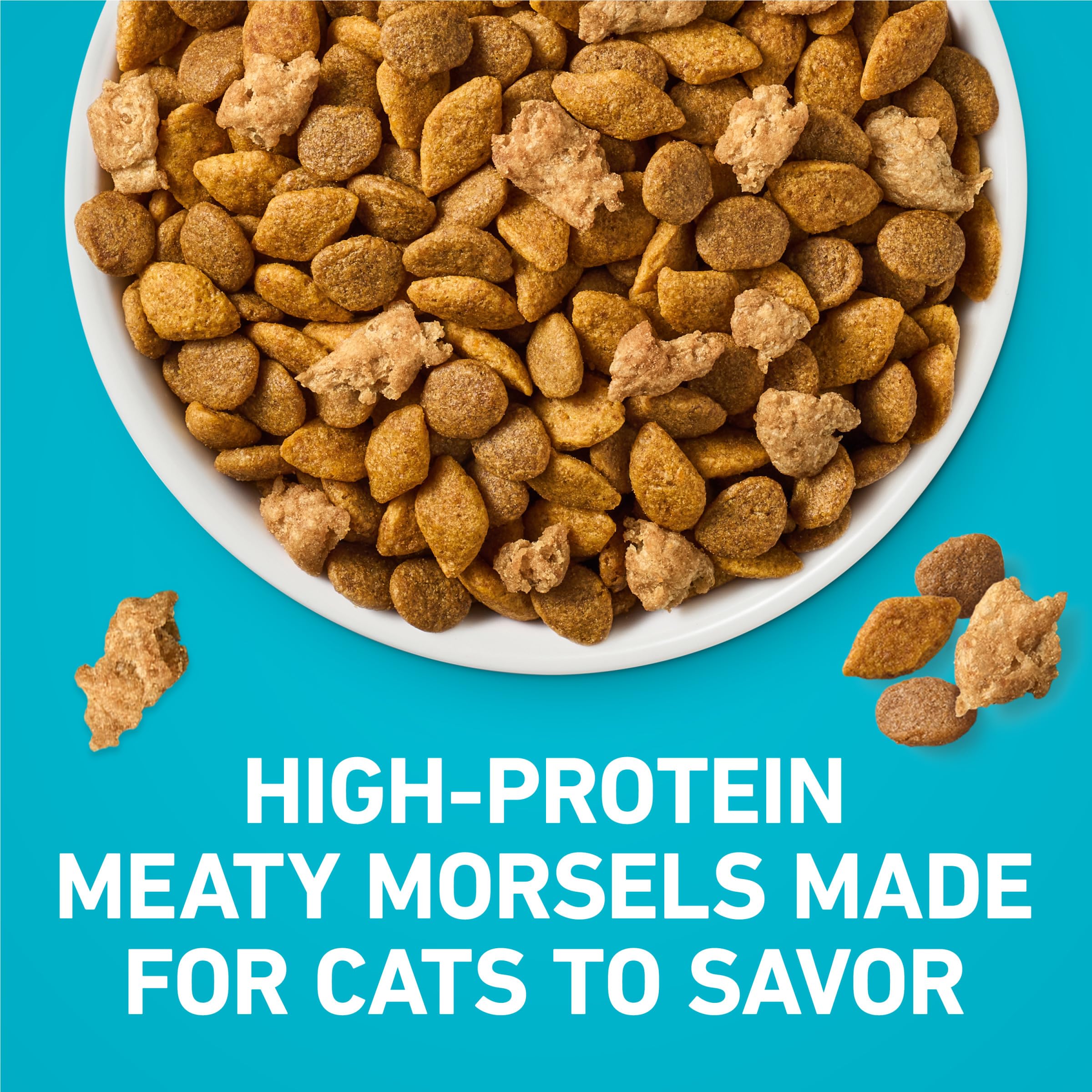 Purina ONE comparaison taille kibble montre portion adaptée et contrôle des portions