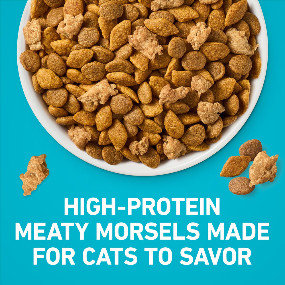 Purina ONE comparaison taille kibble montre portion adaptée et contrôle des portions