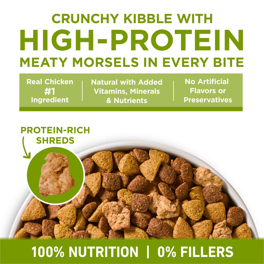 Purina ONE sac 31,1 lb comparé à un mètre montrant échelle et quantité