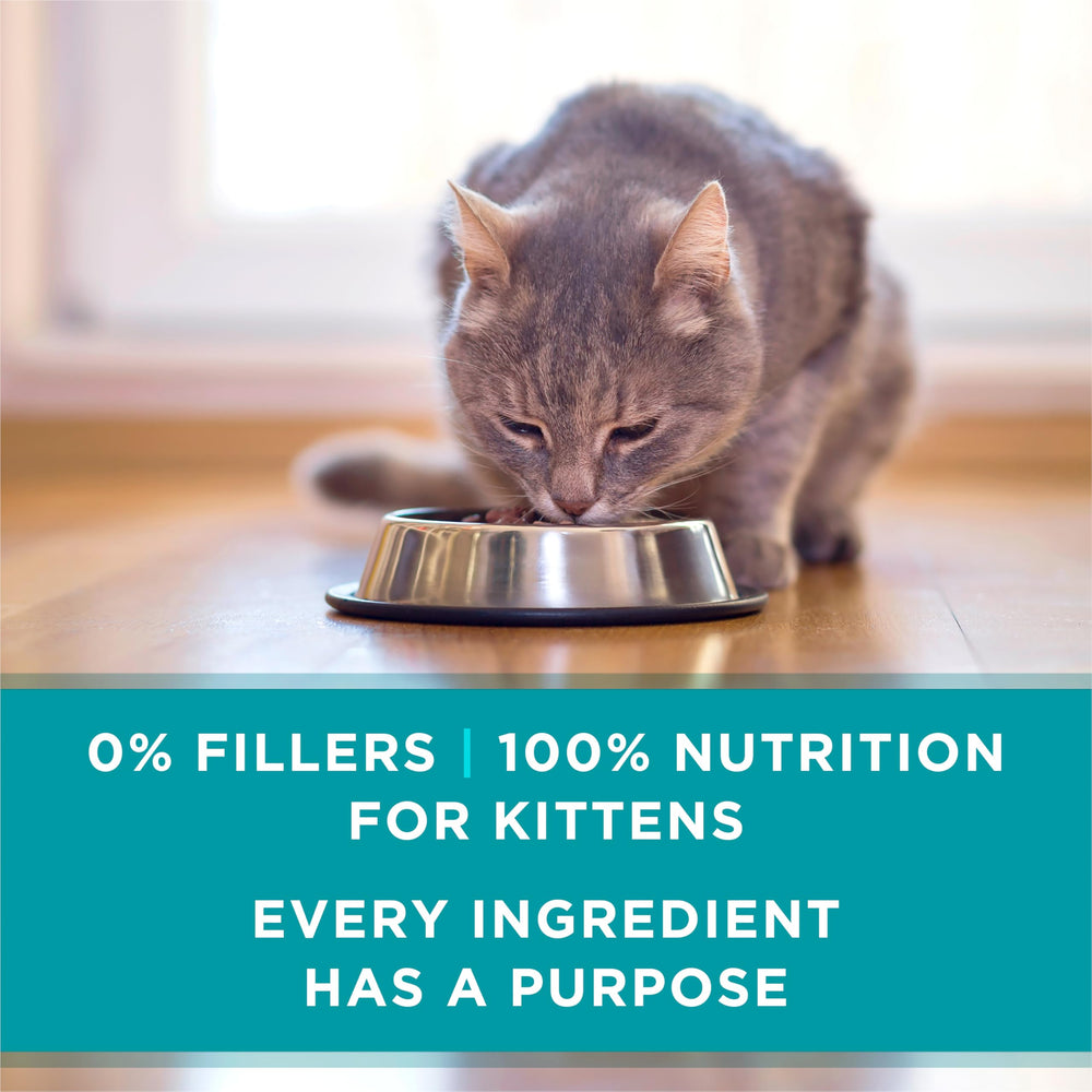 Purina ONE comparaison taille boîte 85 g pratique pour portions contrôlées