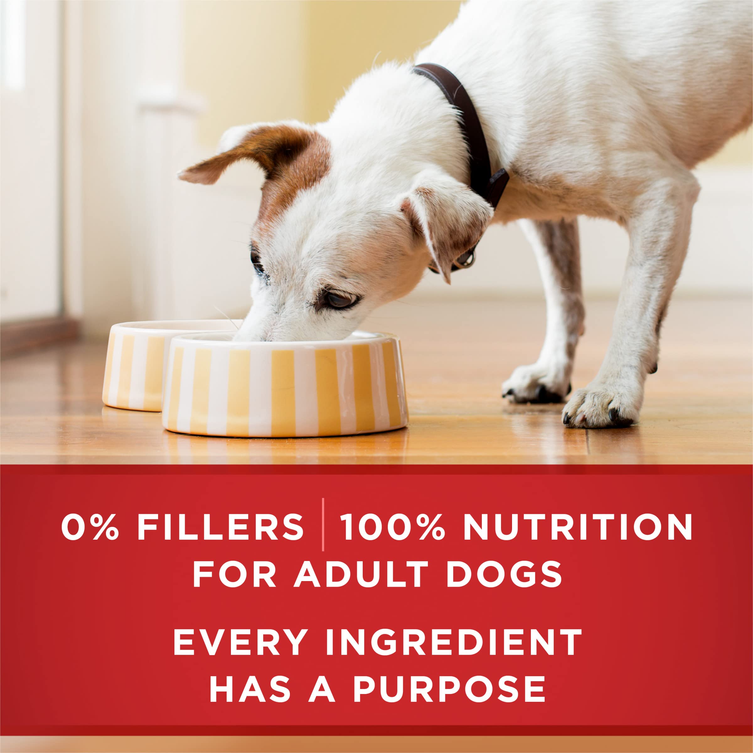 Purina ONE boîte au réfrigérateur indiquant conservation après ouverture